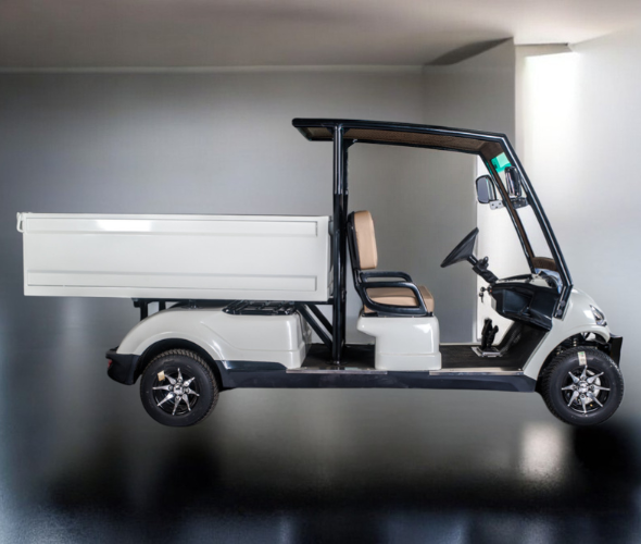 2 Seater Extended Utility Golf Cart Manufacturer in India