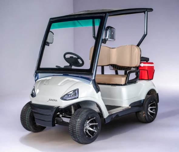 2 Seater Electric Golf Cart Manufacturer in India