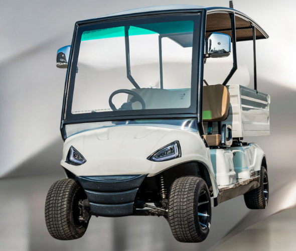 2 Seater Utility Golf Cart Exporter in India