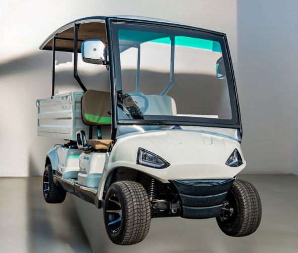 2 Seater Utility Golf Cart Exporter in India